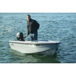 Barco pesca Nautifish / Isonautica 325 (barragens e rias)