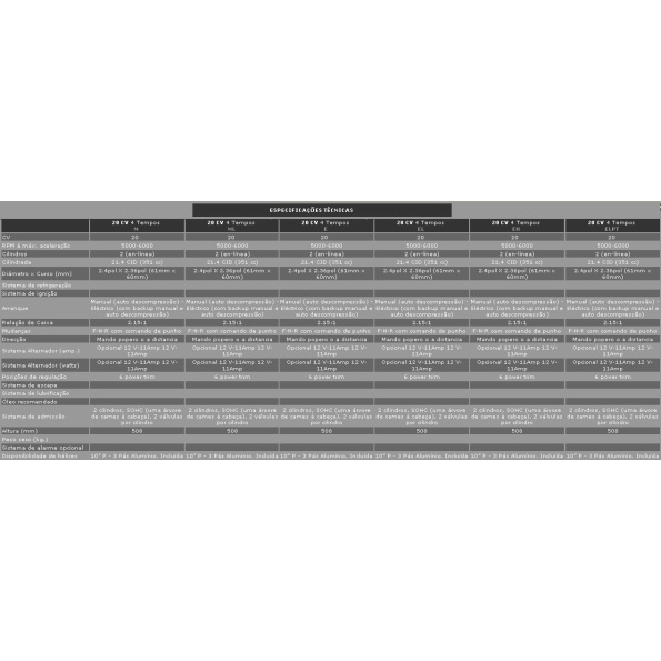 Mercury 4 tempos F20 M