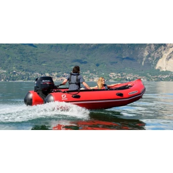 Suzuki 4 Tempos DF25ARS