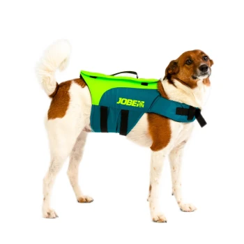 Auxiliar de Flutuação - Cão - Verde Lima / Água