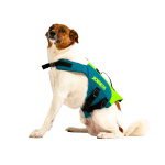 Auxiliar de Flutuação – Cão – Verde Lima / Água