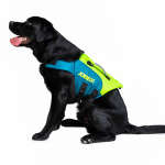Auxiliar de Flutuação – Cão – Verde Lima / Água