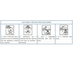 Boia em Ferradura – Homologado com DM 385/99