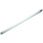 Lâmpada F8T5 Fluorescente - 8W