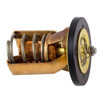 TOHATSU Termostato - 353-01030-0