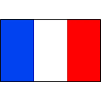 Bandeira França - Talamex