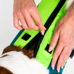 PET VEST
