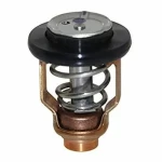 Termostato yamaha – REC67F-12411-01