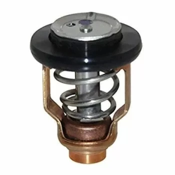Termostato yamaha - REC67F-12411-01