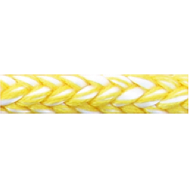 0823208_lightdy-gialla