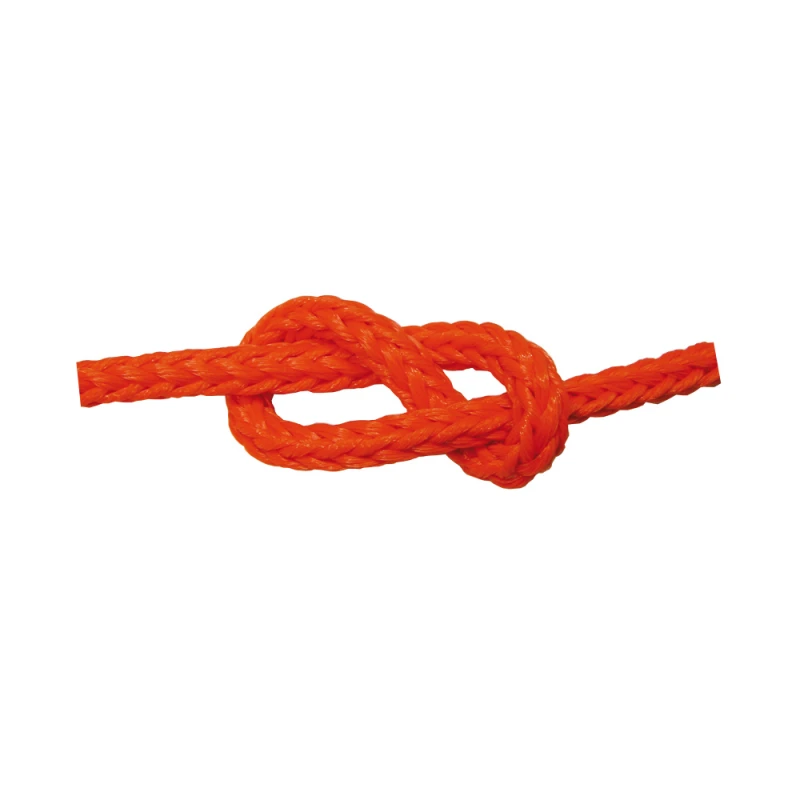 0830006_treccia-gallegg-arancio