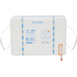 LIFERAFT SYNTESY 9650 ITALIA WITH GRAB BAG