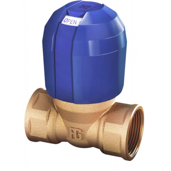 SAFETY INTAKE BRONZE VALVE