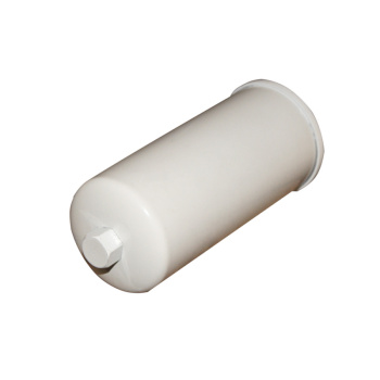 RENAULT RUGGERINI FUEL FILTER