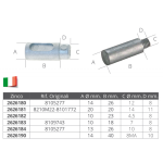 2626184_anodi-per-scambiatori-aifo-fpt