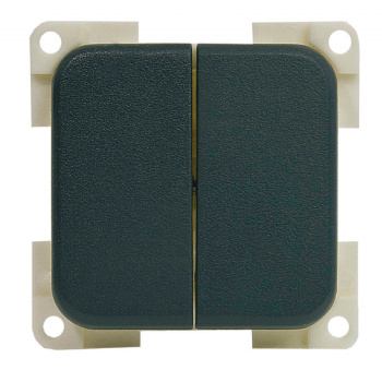 DOUBLE ON-OFF SWITCH 12/24 V