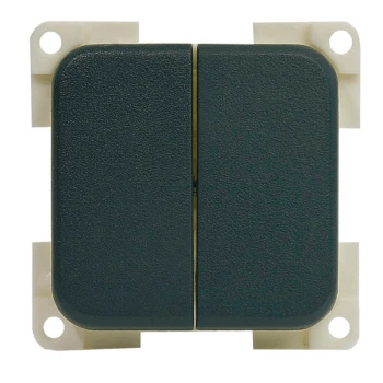 DOUBLE ON-OFF SWITCH 12/24 V