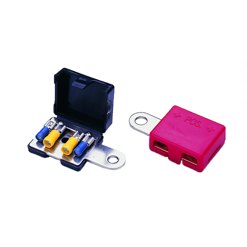 3939930_coppia-terminali-batteria