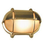 4002436_tartaruga-ovale