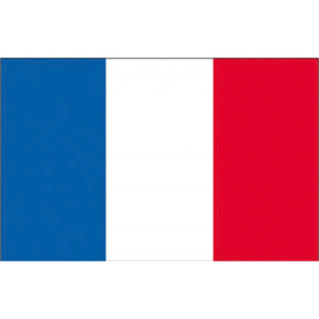FRANCE FLAG
