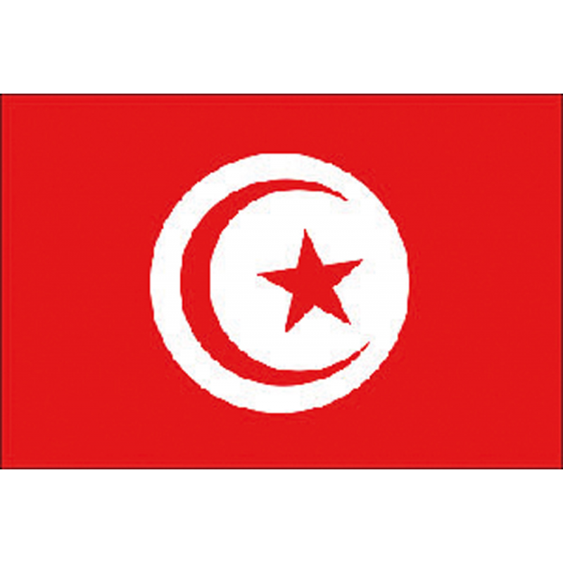 5252407_bandiera-tunisia