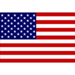 USA FLAG