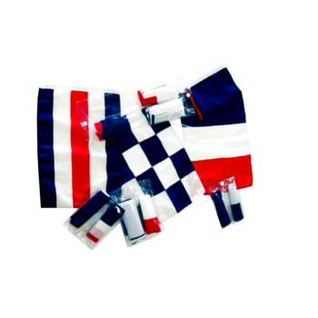 FLAG FRENCH REGULATORY