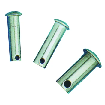 PINS