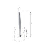 P13255_ancora-rockfish