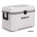 2420045_ghiacciaie-igloo