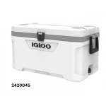 2420045_ghiacciaie-igloo