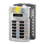 291.119640_CSage-DataSage-50cNAUTIFISHImages107084