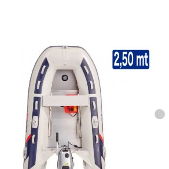 Embarcação Pneumática Honda T25 – AE