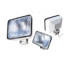 453.638952_CSage-DataSage-50cNAUTIFISHImagesfoco